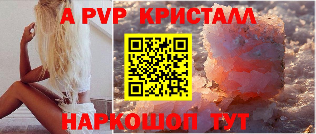 Меф Сыктывкар