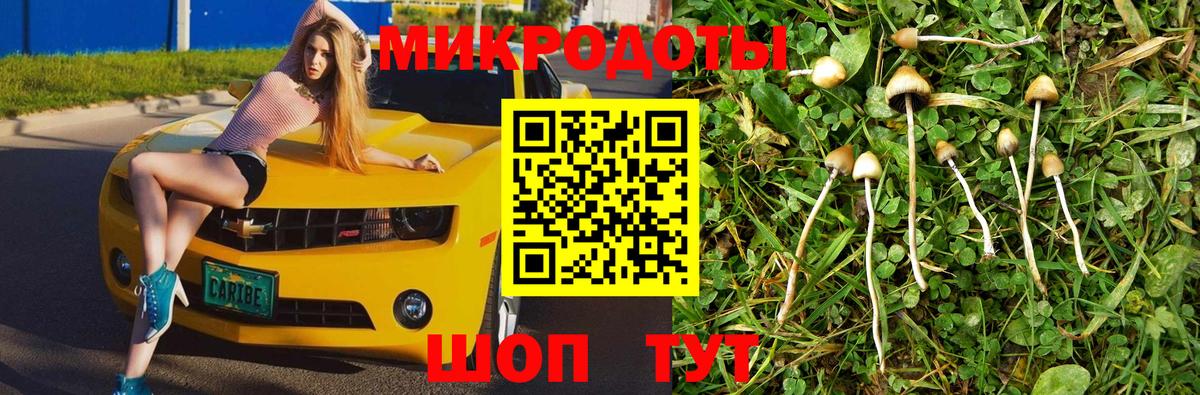 Галлюциногенные грибы GOLDEN TEACHER Сыктывкар
