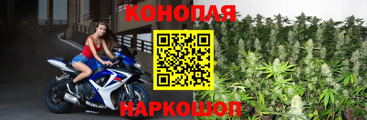 Марихуана MAZAR  Бошки Шишки планчик  Вход с VPN  Сыктывкар 