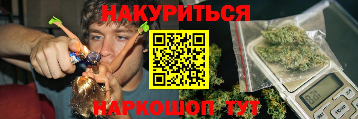 Конопля конопля Сыктывкар